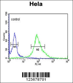 DDX49 Antibody