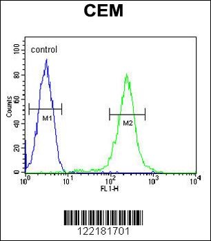 CFP Antibody