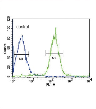 PLA2G6 Antibody