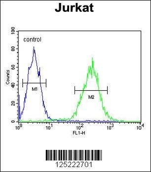 RPR1B Antibody