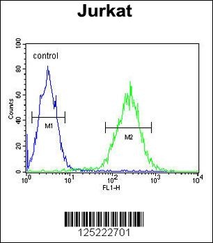 RPRD1B Antibody