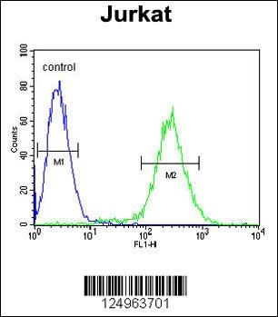 NOL9 Antibody