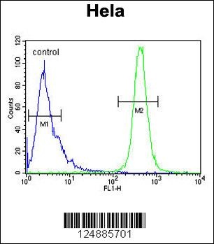 IMP3 Antibody