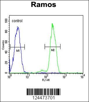 DCP1B Antibody