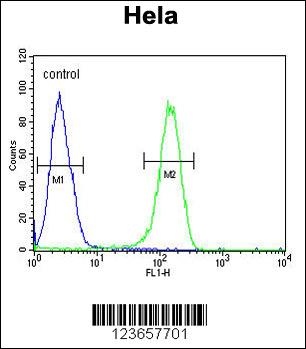 ADCY4 Antibody