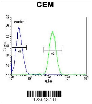 WAS Antibody