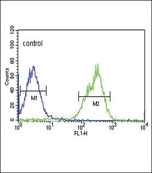 MAP4K3 Antibody