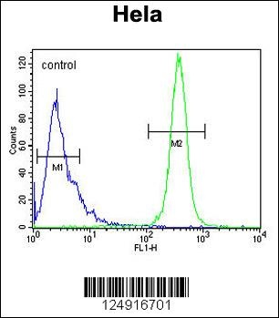 K2C78 Antibody