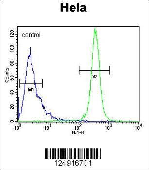 KRT78 Antibody