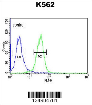 PGP Antibody