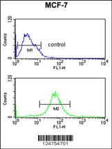 MRPS25 Antibody