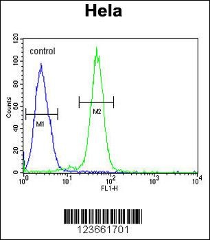 AGXT2 Antibody