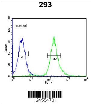 STX1A Antibody