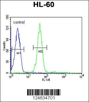 GRPR Antibody