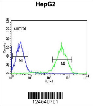 NDUFA10 Antibody