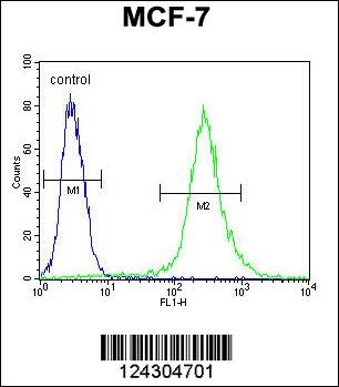 RPS24 Antibody