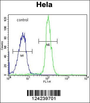 ADPRHL2 Antibody