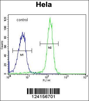 FAM40A Antibody