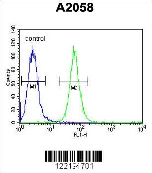 ABHD14B Antibody