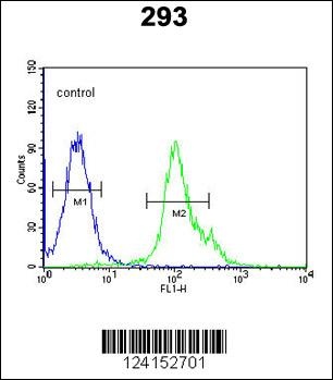 NXPH1 Antibody