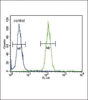 NCOA7 Antibody