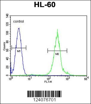 FANCC Antibody