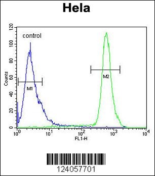 HS3ST2 Antibody