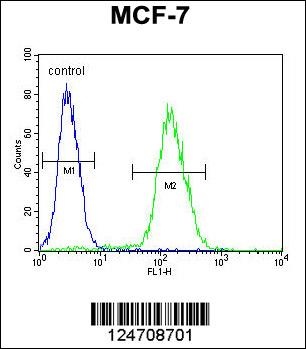 ABHD11 Antibody