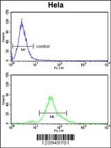 ACP1 Antibody