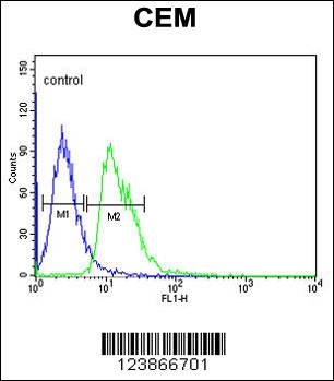 DIAPH2 Antibody