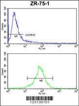 CHIA Antibody