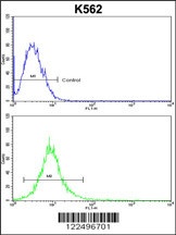 ND2 Antibody