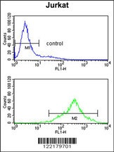 CSPP1 Antibody