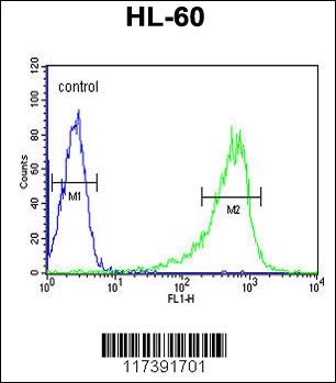 PLCB1 Antibody