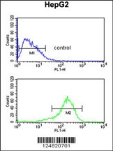 ATL2 Antibody