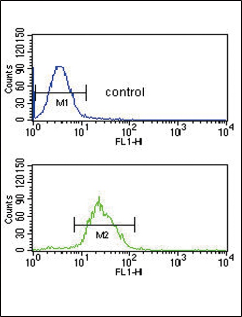 ITPKC Antibody