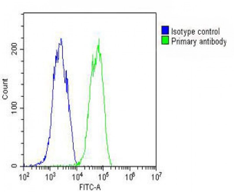 GPX1 Antibody