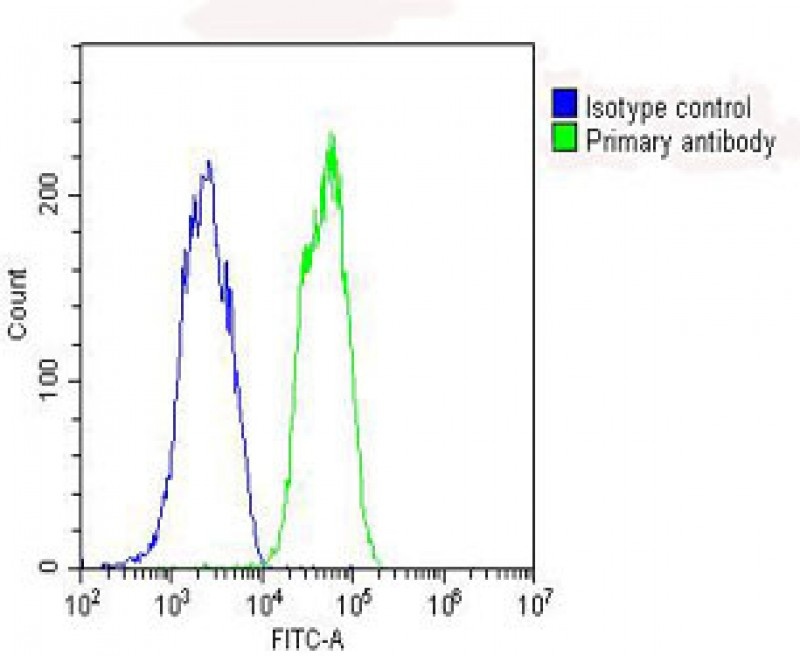 GPX1 Antibody