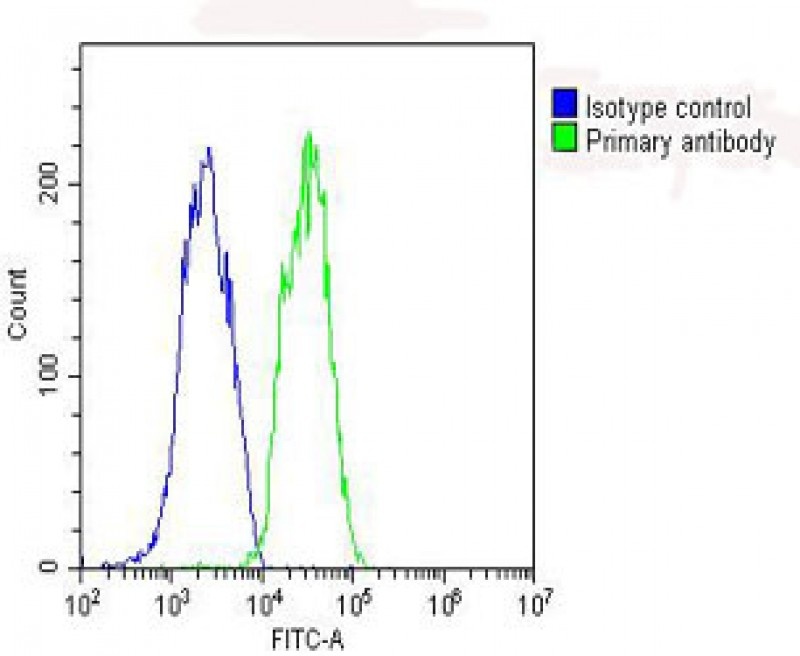 GPX1 Antibody