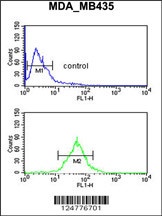 TFPT Antibody