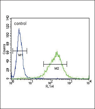 GABRA2 Antibody