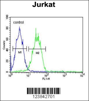 ARGLU1 Antibody