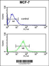 SNRPD3 Antibody