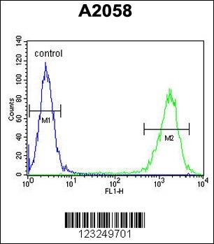 PTMS Antibody