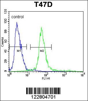 KCTD12 Antibody