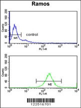 C7 Antibody