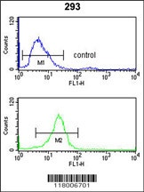 CD49f Antibody