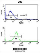 ITGA6 Antibody