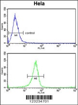 TSPAN6 Antibody