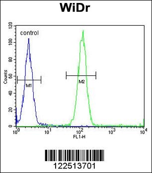 ASIC2 Antibody